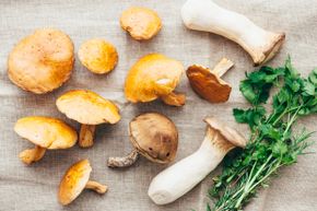 Some wild mushrooms are inedible, while some are edible – but none should be eaten raw.
