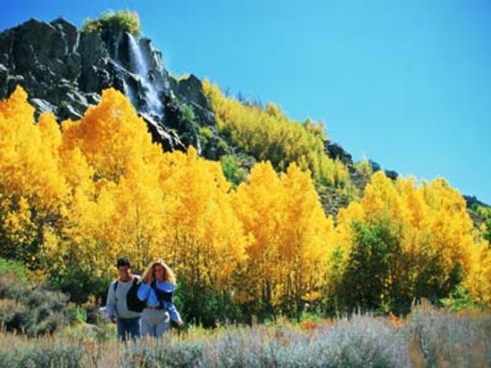 18新利最新登入野生的荒野是如何工作的”class=