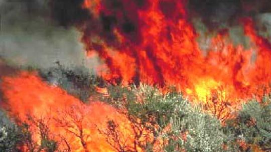 How do investigators determine if a wildfire was caused by arson?
