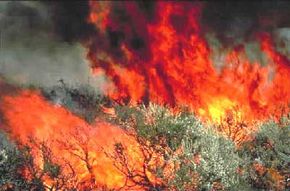 Fires like this one are more often than not the result of a careless human action. Watch these wildfire videos.