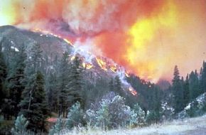 More often than not, fires travel faster up slopes. Once at the top of a hill, fires tend to burn out.