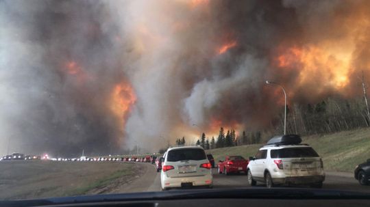 How Dangerous Is Wildfire Smoke? A Toxicologist Is Raising Red Flags