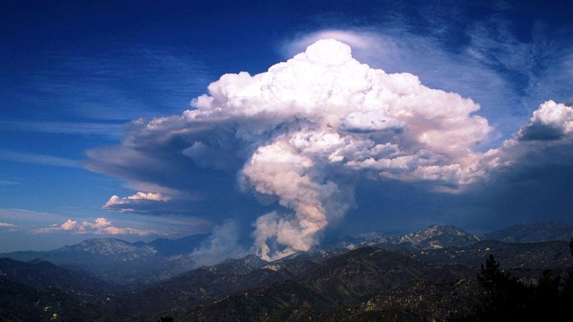 pyrocumulus cloud