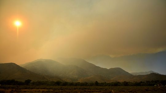 Wildfire Smoke Is Affecting Photosynthesis. Here's How