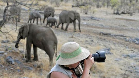 What is the best wildlife photography equipment?