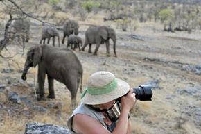 Safari形象画廊艺术捕捉野生动物电影需要适当的设备和一组特殊的技能。看到更多旅行的照片。”width=