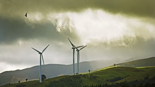 Do wind turbines kill birds?