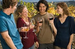 people enjoying wine in vineyard