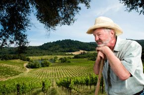 farmer in vineyard