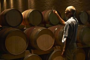 Mature man holding up glass of wine to light in wine cellar