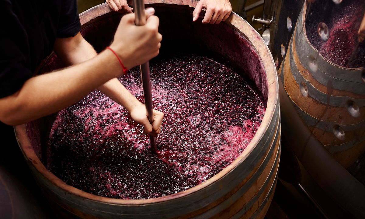 how-winemaking-works-howstuffworks