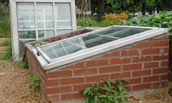 If you want to build a sturdier type of cloche, you might want to invest in a cold frame.