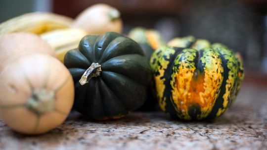 5 Delicious Winter Squashes That Are Easy to Prepare