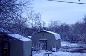 photo- snowy farm