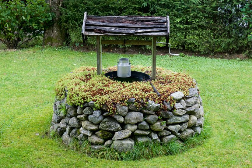 wishing well