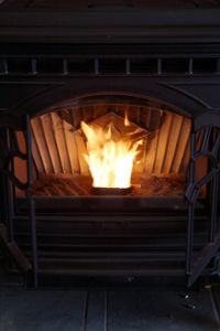 A wood pellet stove