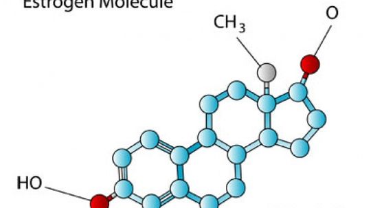 10 Things Men Should Know About Female Hormones