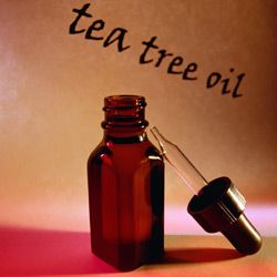 tea tree oil