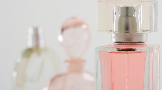 Top 10 Scents Used in Women's Body Products