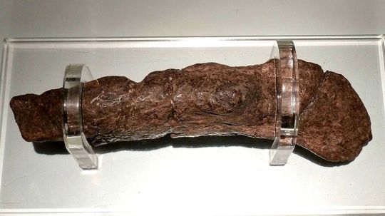 The World's Longest Poop Story Is a Crock of, Well ...