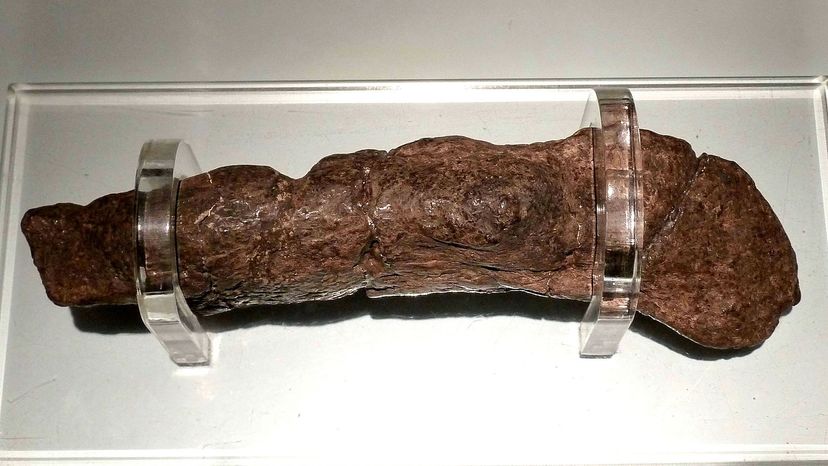 Lloyd's coprolite