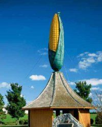 The World's Largest Ear of Corn can be found in Olivia, Minnesota -- a.k.a. Minnesota's Corn Capital. Find out more only at HowStuffWorks.