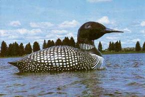 Image Gallery: Strange Tourist Attractions The World's Largest Floating Loon looms over a Minnesota lake. See more pictures of strange tourist attractions.