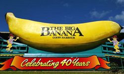 Big Banana