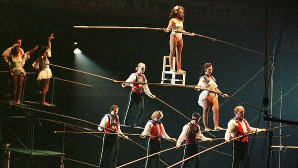 The Flying Wallendas perform on a high wire