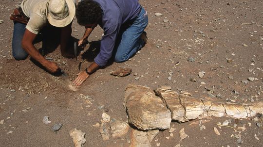 地球历史上最严重的物种灭绝是什么?”width=