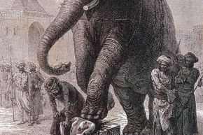 elephant execution