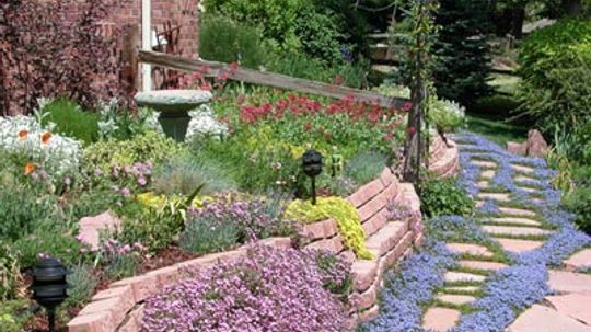 How Xeriscaping Works