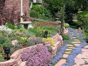 A Xeriscaped area.