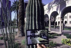 A photo of the prior landscape is compared with the new, Xeriscaped one.