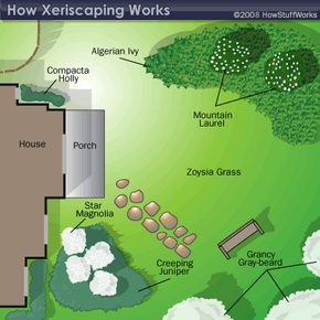 A potential plan for a Xeriscaping project.