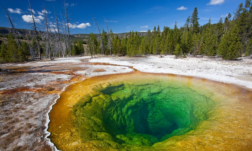 Travel the World: Yellowstone