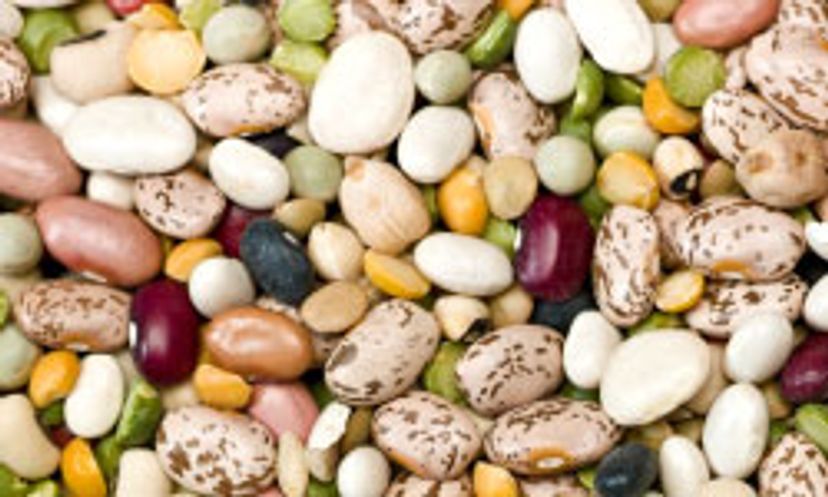 You Don't Know Beans.Or Do You? Ultimate Bean Quiz