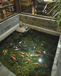 位于中国丽江禅宗花园酒店的这个金鱼池将会是你自己禅宗花园的一个很好的补充。＂border=