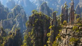 zhangjiajie's rock column forest