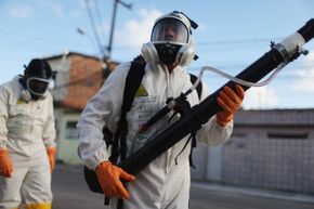 新利国际网站品牌官网卫生工作者香薰为了根除Zika-carrying蚊子在累西腓,伯南布哥州,巴西。”border=