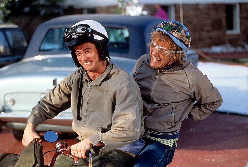 Dumb and Dumber Fan Quiz