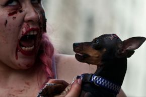 Woman dressed as a zombie holding a dog