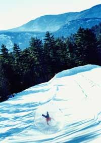 A zorb and its passenger tumble down a snowy hill.