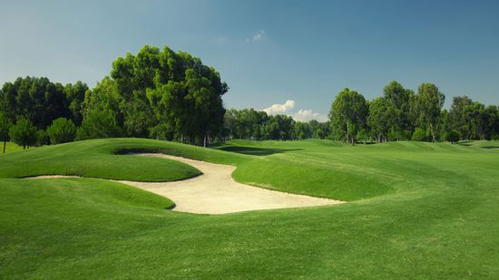 结缕草总是更绿＂class=