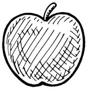 A hatch and crosshatch illustration of an apple.