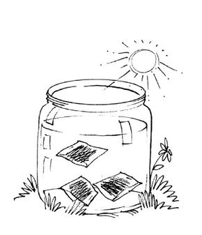 Illustration of sun tea in a jar