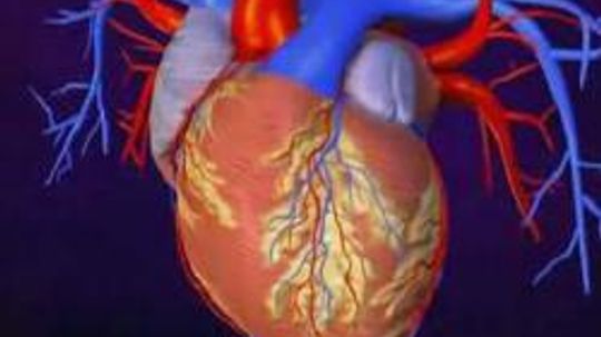 充血性心力衰竭101”width=