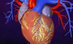 Human Atlas: Congestive Heart Failure