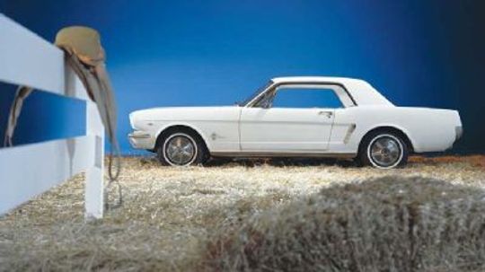 1965 1966 Ford Mustang