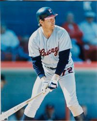 Carlton Fisk hit 37 homeruns in 1985 -- more thanany other catcher inAmerican League history.